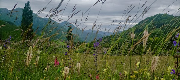 Au cœur de l’été