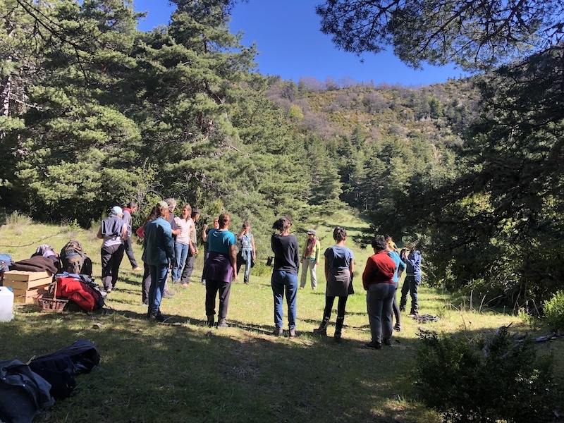 Sur les chemins du dehors
