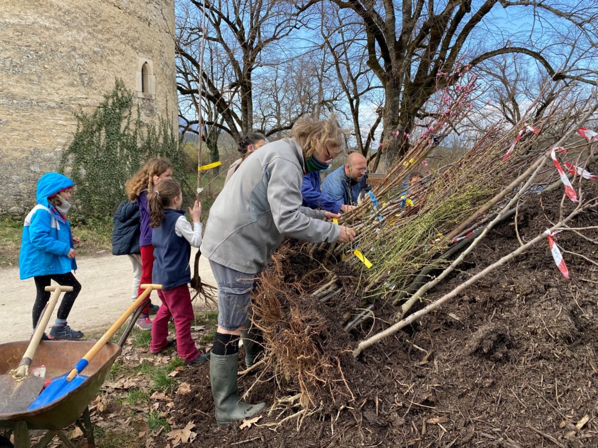 Plantation des arbres fruitiers à Caminando - opération Sous les arbres retrouvons-nous de Biovallée