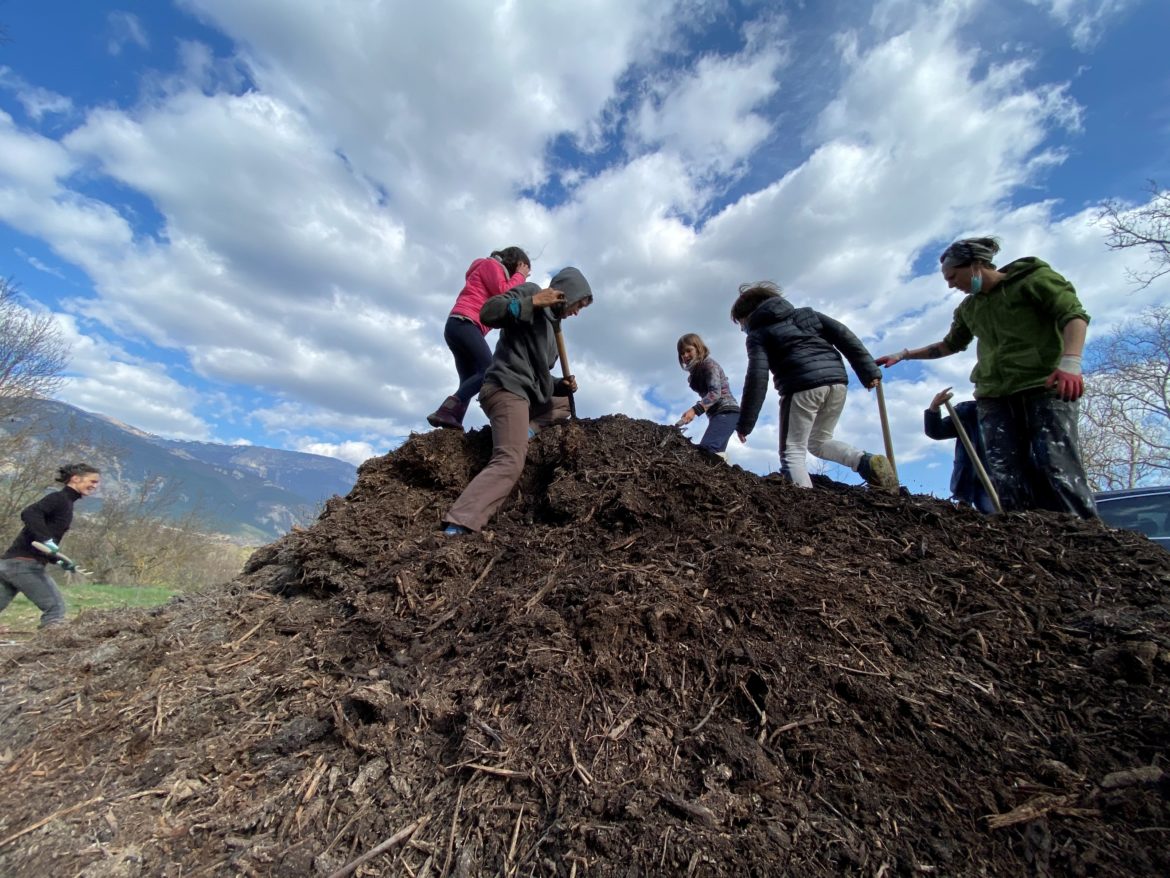 Plantation des arbres fruitiers - le tas de broyat