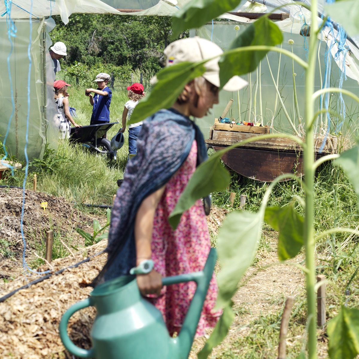 Jardinage dans la serre