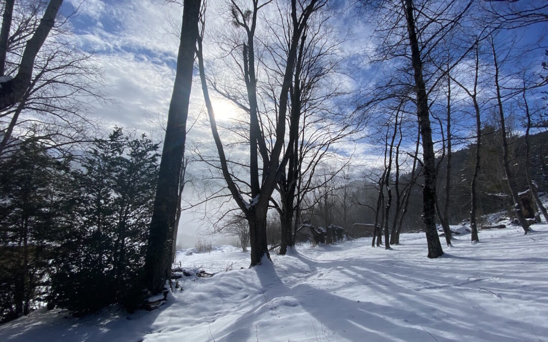 Neige au soleil dans les arbres autour de la Comtesse