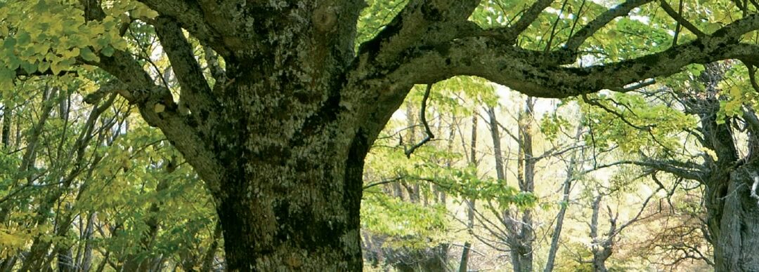 Formations entreprises et colléctivités territoriales