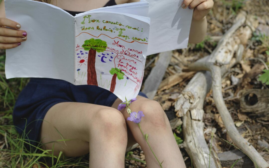 cahier des bois