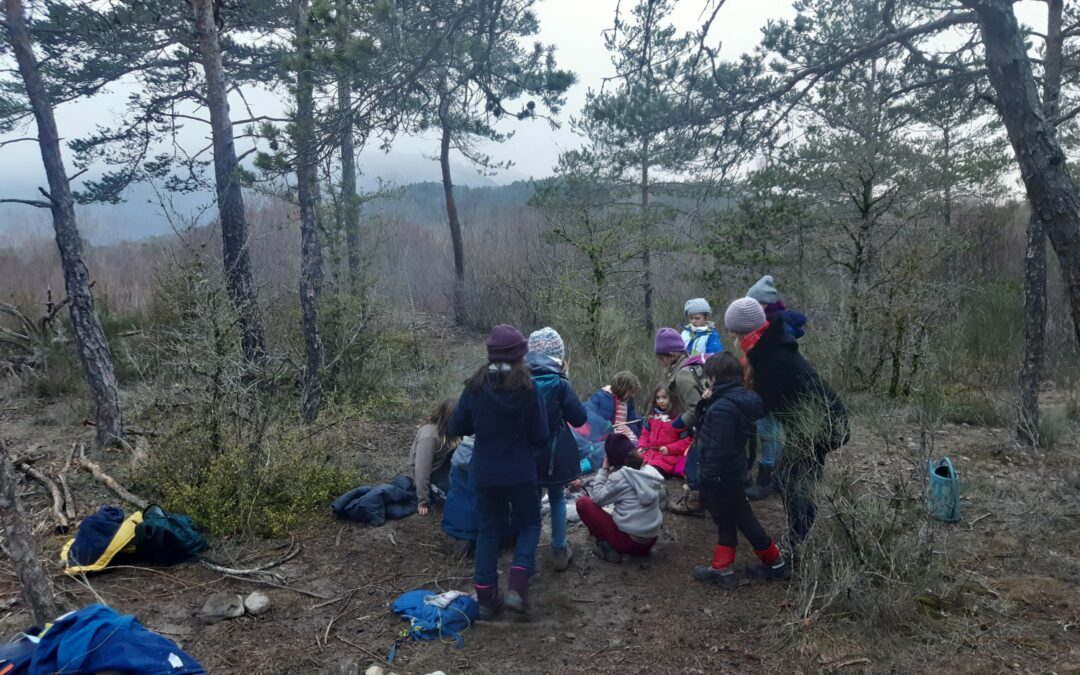 dans la forêt