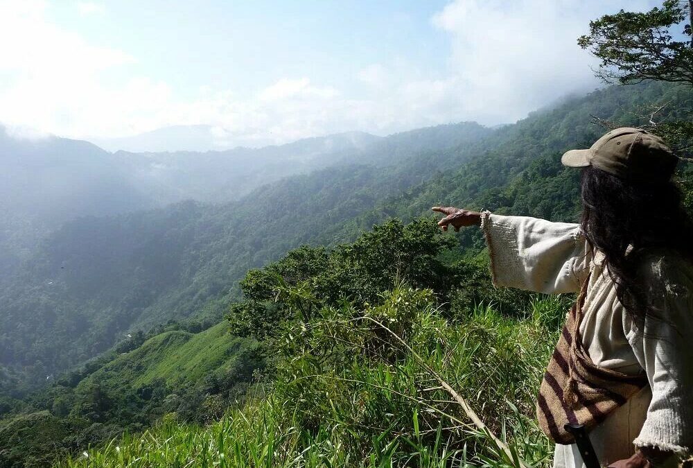 tchendukua-kogis-vallee-mendihuaca