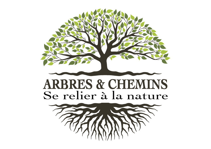 arbres et chemins